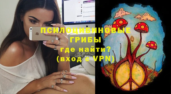 твердый Белокуриха