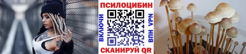 Псилоцибиновые грибы MAGIC MUSHROOMS  Вытегра 